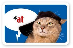 rijmelarij-13-kat