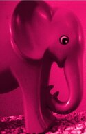 olifant